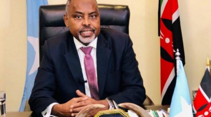 Somalia recalls ambassador to Kenya over political interference