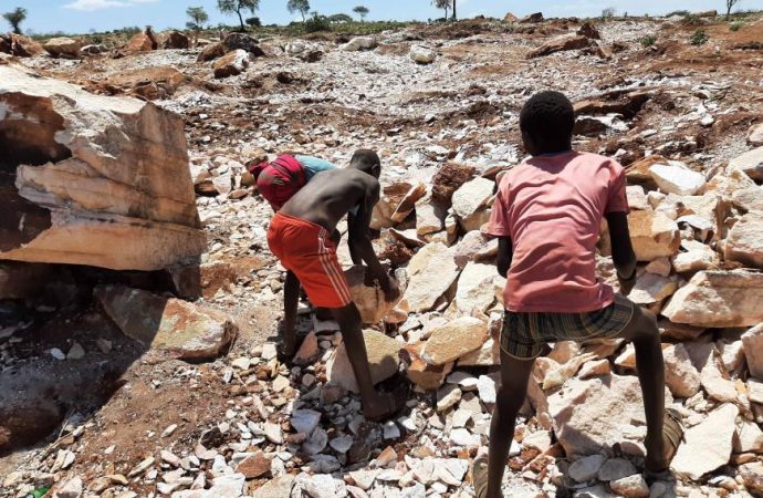 Child labour increases for first time in two decades says the UN