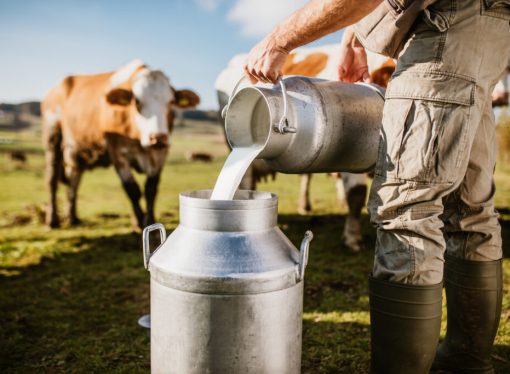 Milk To Become Mandatory On Schools’ Menu.