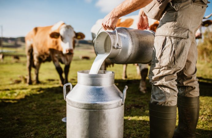 Milk To Become Mandatory On Schools’ Menu.